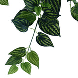 Bright Mixed Philodendron Garland Bush 100cm - Side View
