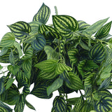 Bright Mixed Philodendron Garland Bush 100cm - Front View