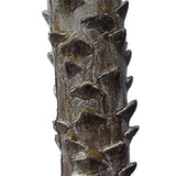 Tropical Phoenix Palm Tree 170cm UV Resistant - Front View