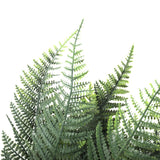 Premium Artificial Australian Fern UV Resistant 60cm - Side View