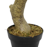 Faux White Flowering Magnolia Tree with Pot 130cm - Top-Down View