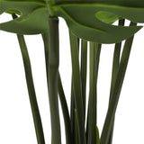 Split Philodendron (Split Leaf) 120cm - Front View