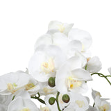 Large Multi-Stem White Potted Faux Orchid 65cm - Front View