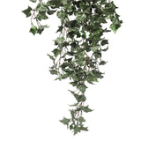 Hanging English Ivy Bush 80cm UV Resistant - Front View