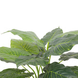 Artificial Potted Taro Plant / Elephant Ear 70cm - Front View