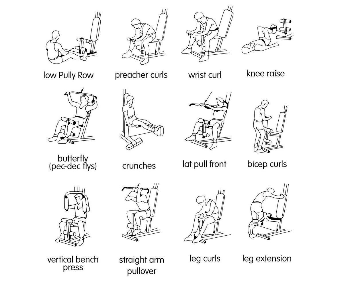 Powertrain Home Gym Multi Station Exercise 175lb Weights Dumbbells