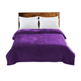 DreamZ 320GSM 220x240cm Ultra Soft Mink Aubergine Queen-2018816638891200512