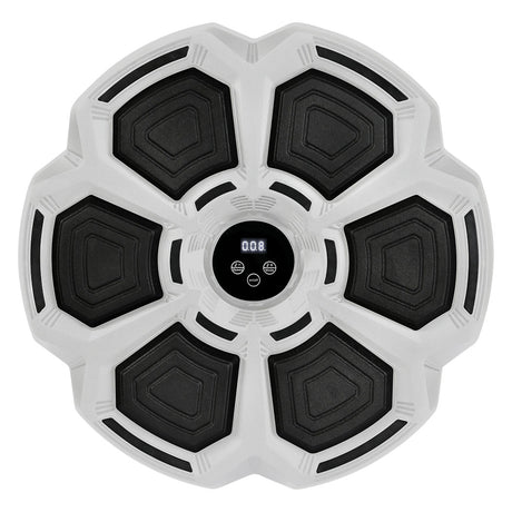 Centra Electronic Punching Box Music Machine Wall Mounted Bluetooth 9 Speeds-1954802364275888129