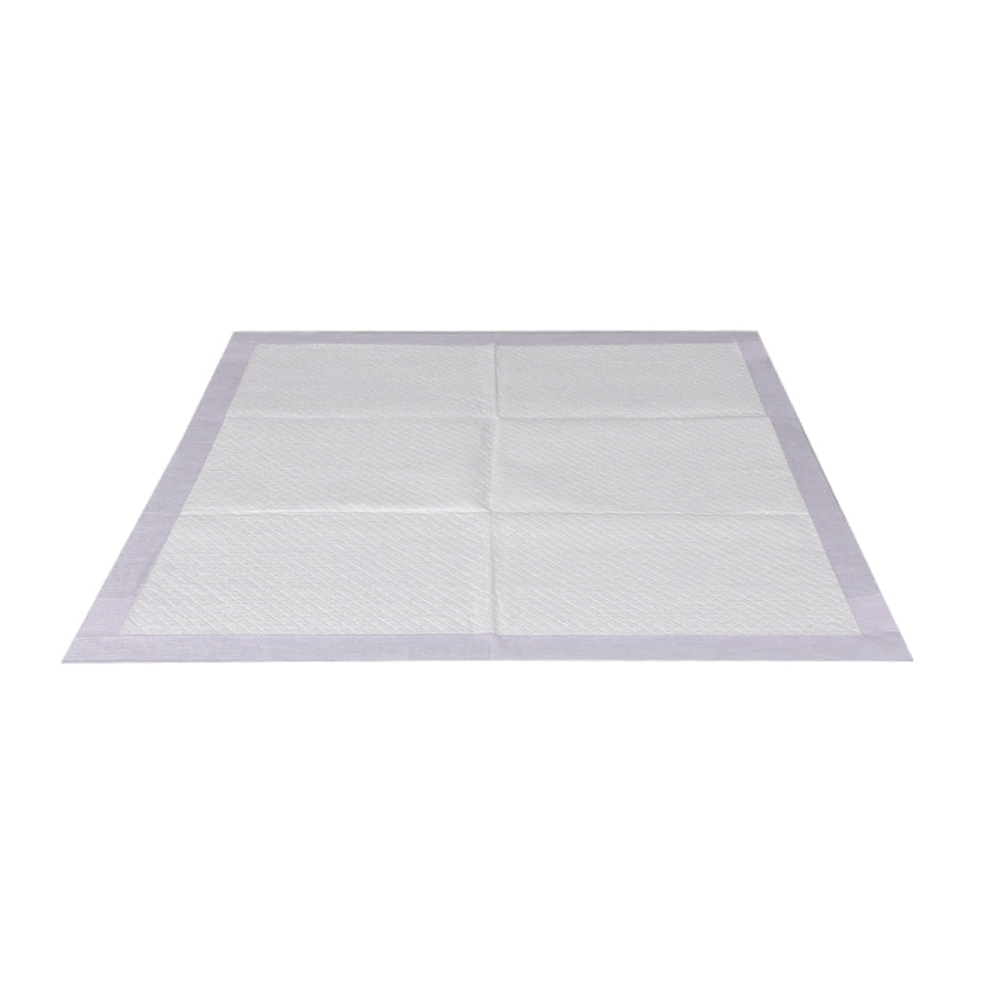 PaWz 400x Pet Dog Toilet Training Pad-2018816827764903937