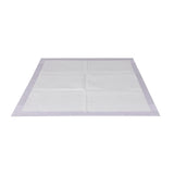 PaWz 100x Pet Dog Toilet Training Pad