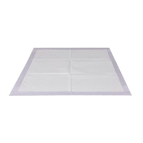 PaWz 200x Pet Dog Toilet Training Pad-1954802567473139713