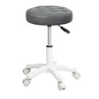 Levede 2x Rolling Bar Stool Swivel Salon SPA Chair Grey-2018816801848299521