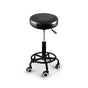 Levede 2x Salon Stool Swivel Bar Stools
