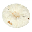 Pawz Cat Tunnel Foldable Fluffy Plush Play Tube Beige-2006732904268435457