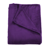 DreamZ 320GSM 220x160cm Ultra Soft Mink Aubergine Single