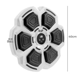 Centra Electronic Punching Box Music Machine Wall Mounted Bluetooth 9 Speeds - Front View