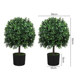 Lambu Artificial Boxwood Topiary Ball Tree - Front View