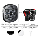 Centra Punching Box With 12 OZ Boxing Glove - Front View