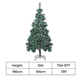 Santaco 1.8M 250 Tips Christmas Tree Full Pine Needle - Front View