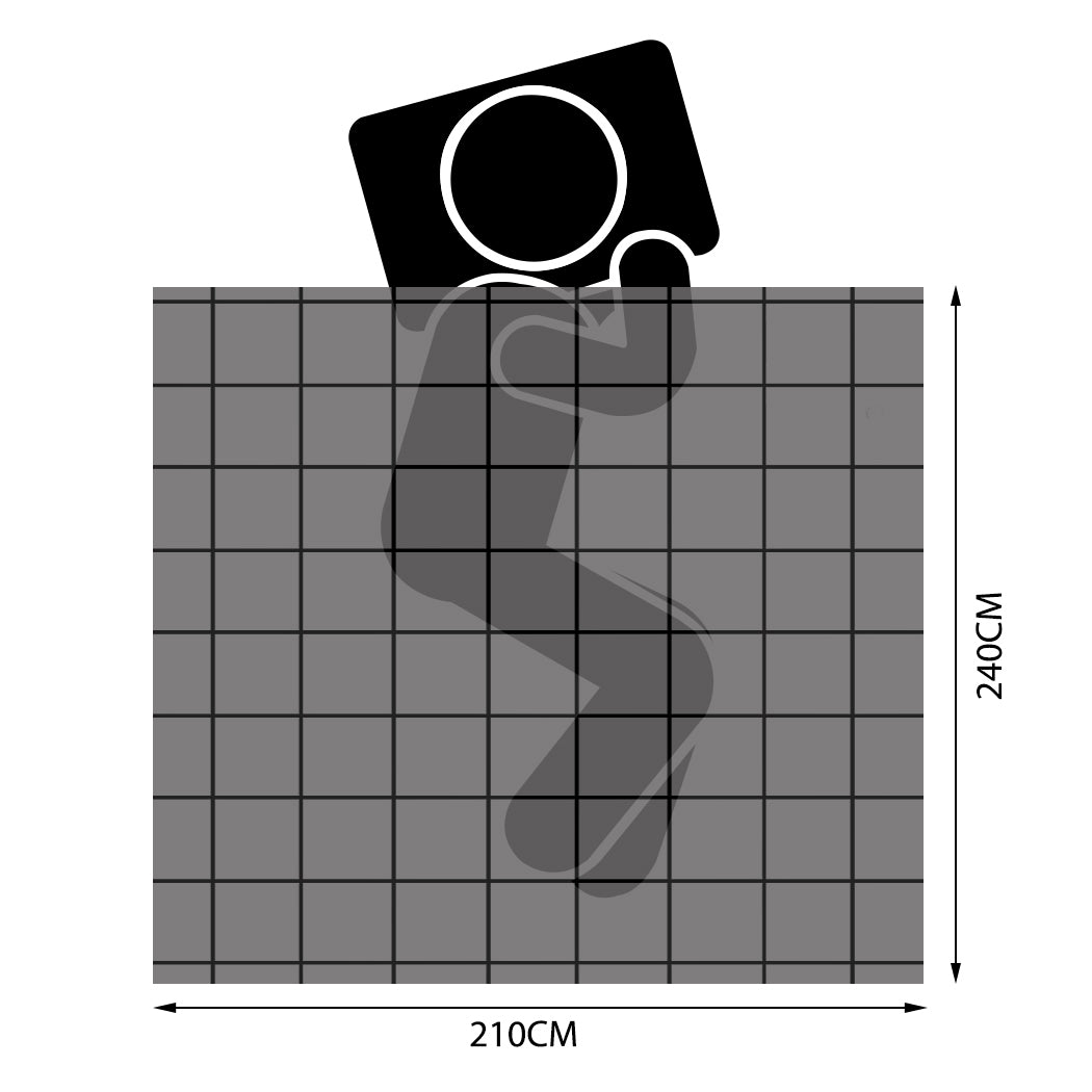 DreamZ 500GSM Goose Quilt Down Feather King-2018816796718665730