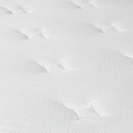 Dreamz Spring Mattress Pocket Bed Top Double-2006733091544109059