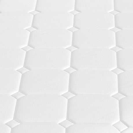Dreamz Spring Mattress Bed Pocket Tight Double-1954802848441176067