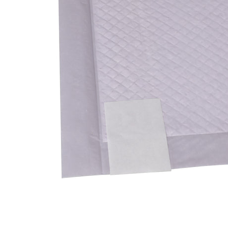 PaWz 400x Pet Dog Toilet Training Pad-2018816827764903939