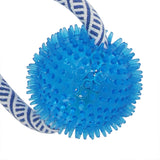 PaWz Dog Chew Toys Squeaky Puppy Pet - Top-Down View