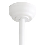 Spector 52'' Ceiling Fan LED Light DC Natural-2018816906051588100