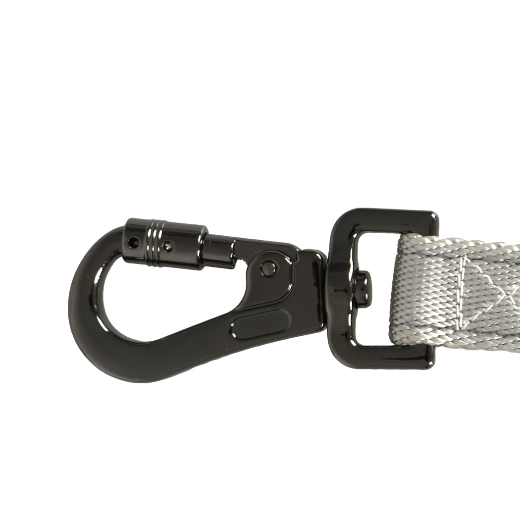 PaWz LED Dog Leash Lead Walking Rope Black-1954802564478406661
