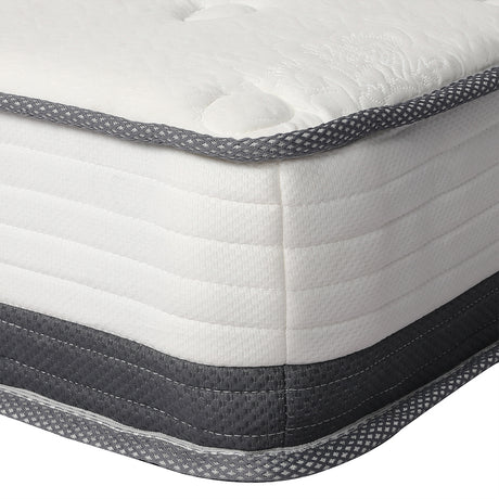 Dreamz Pocket Spring Mattress HD Foam Single-2006733090545864709