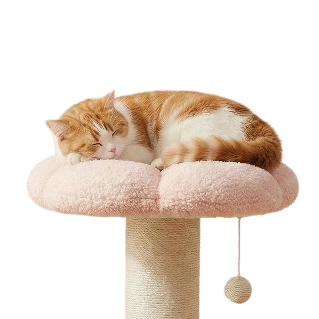 Pawz Cat Scratching Post Flower 61.5cm Cat Tree Tower-2011971128595189765