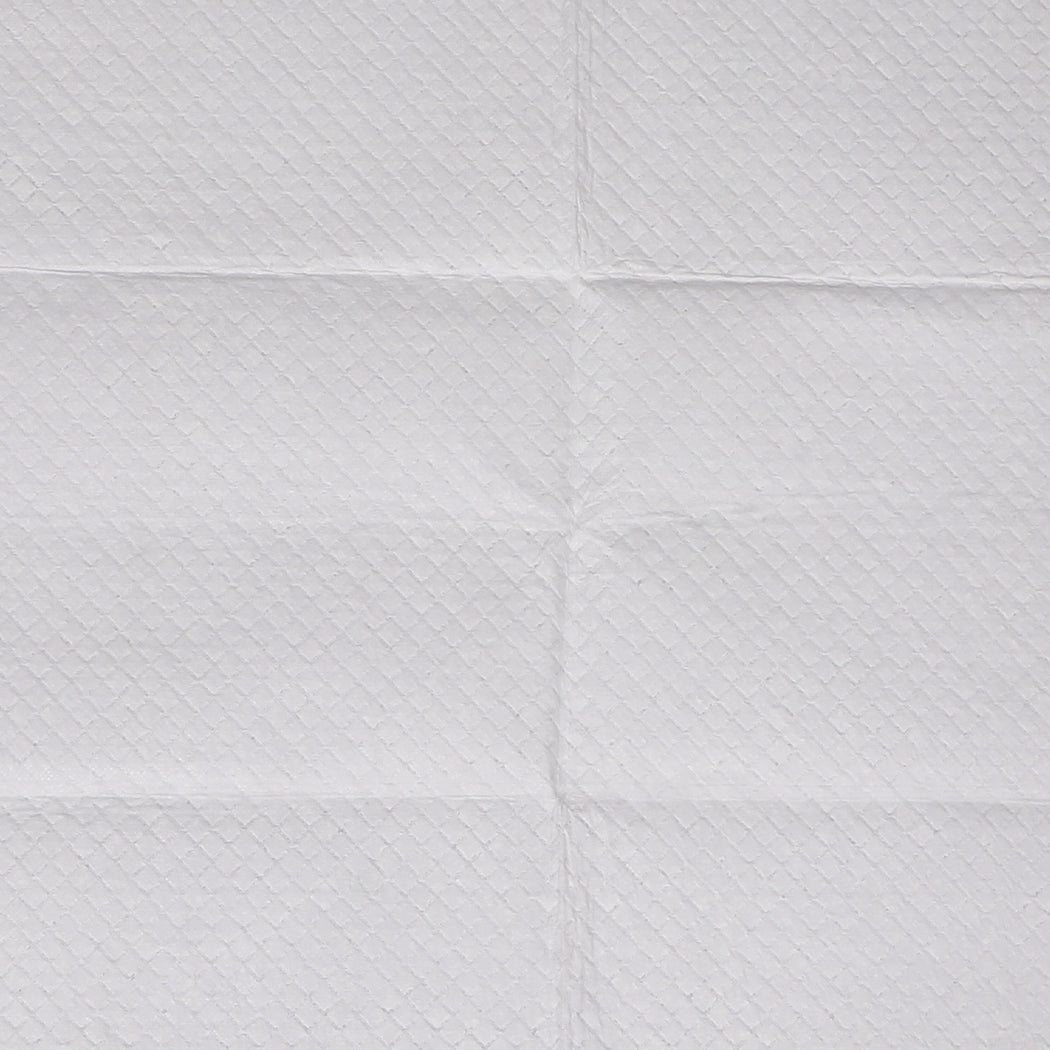 PaWz 100x Pet Dog Toilet Training Pad-1954802567301173253