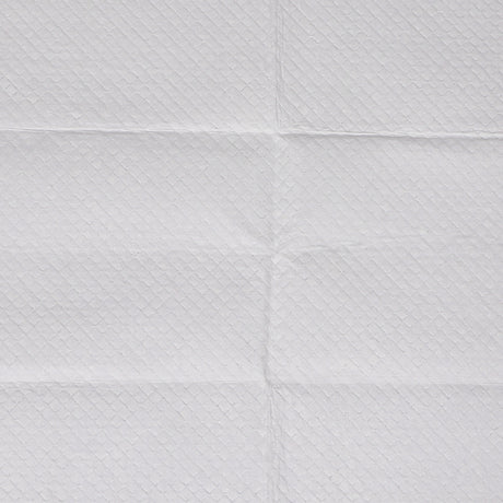 PaWz 100x Pet Dog Toilet Training Pad-1954802567301173253