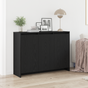 Sideboard Black 102 x 29.5 x 75 cm Engineered wood
