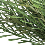 Native Tea Tree Stem UV Resistant 45cm - Front View