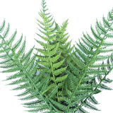 Dark Fern Stem UV Resistant 38cm - Front View