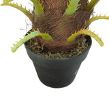 80cm Artificial Phoenix Palm - Front View