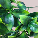 White Flowering Jasmine Stem UV Resistant 30cm - Side View