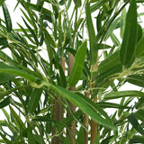 Natural Bamboo Trunk (Real Touch Leaves) 180cm - Front View