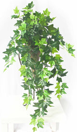 Hanging Green Ivy Bush 80cm - Front View