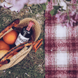 Little Dayz Boutique British Plaid Style Picnic Mat Medium 150*100 Brown-2006733460831604737
