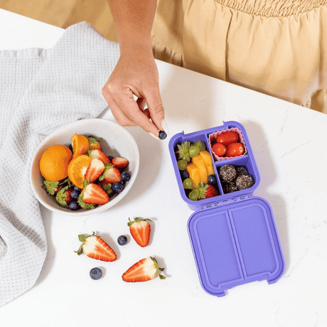 Little Lunch Box Co Bento Two Apple-2006733352421429250