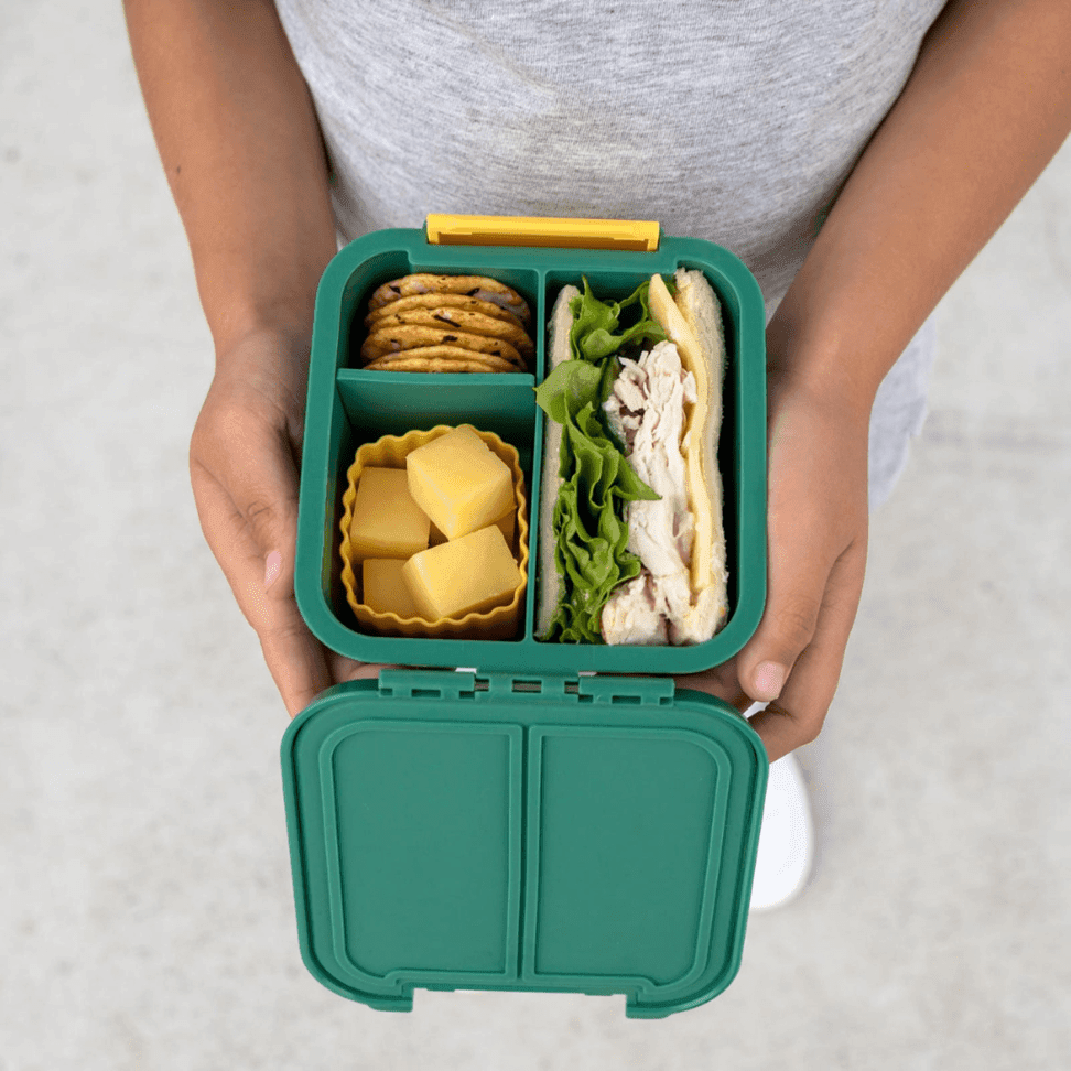 Little Lunch Box Co Bento Two Grape-1954803062254211077