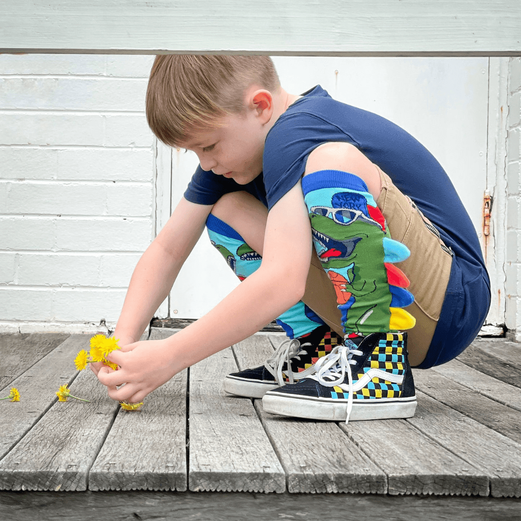 MADMIA Dinosaur Socks With Spikes Kids & Adults Age 6 - 99-2006733343126851586