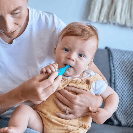 Marcus & Marcus -12M+ Self Training 360' Toothbrushes Ollie the Elephant green-1954803148111613956