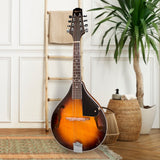 Karrera Traditional Mandolin Guitar - Sunburst
