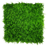 Mediterranean Fern Vertical Garden UV Stabilised 1m X 1m - Front View