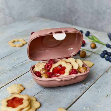 Monbento Gram Snack Box-Cinnamon Fox Cinnamon Fox-1954803050220752901