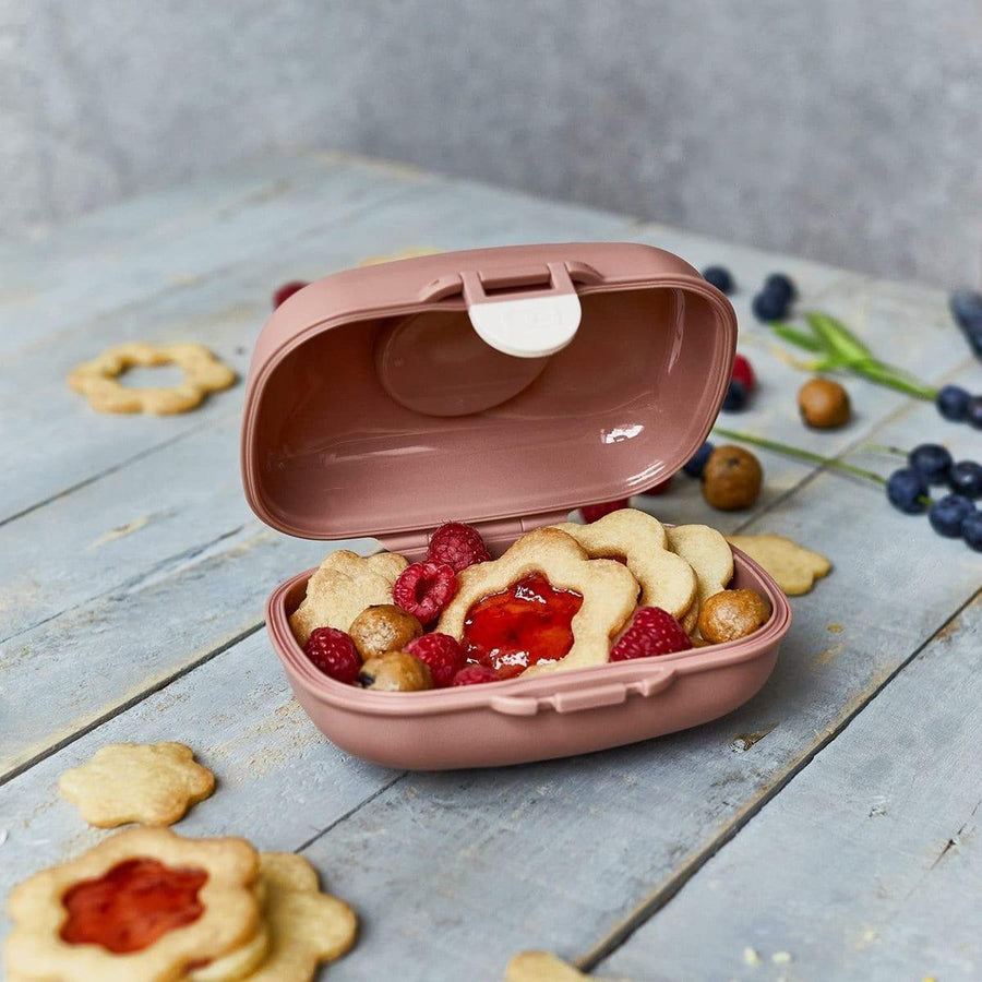 Monbento Gram Snack Box-Cinnamon Fox Cinnamon Fox-2006733344280285189